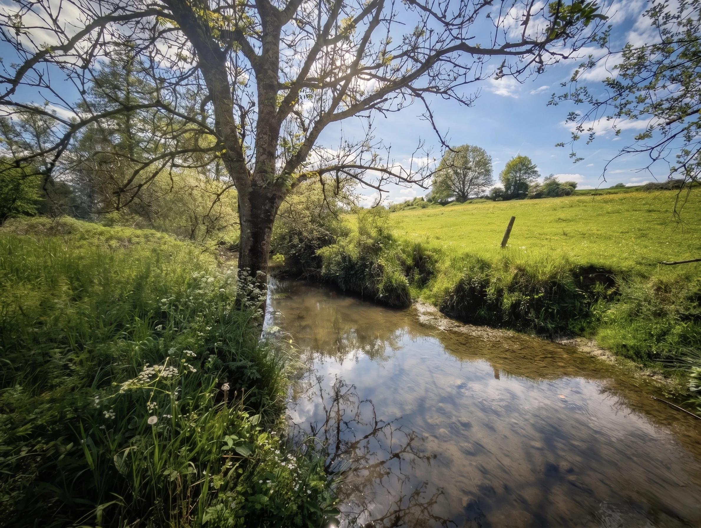La rivière Le Biran au pied de la propriété